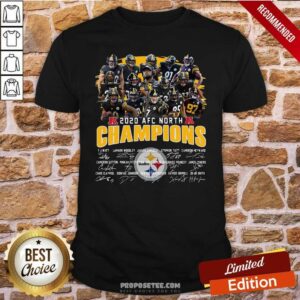 Good Pittsburgh Steelers 2020 Afc North Champions Signatures Shirt