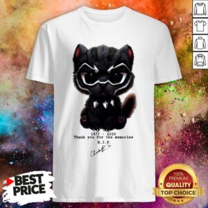 Rip Chadwick Boseman Shirt