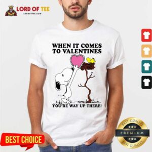 Nice Snoopy And Woodstock When It Comes To Valentines Youre Way Up There Valentines Day Shirt