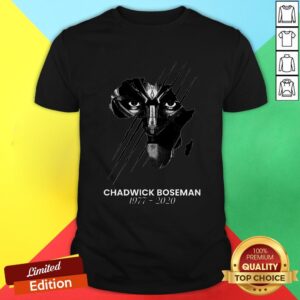 Rip Black Panther Chadwick Boseman Marvel Shirt
