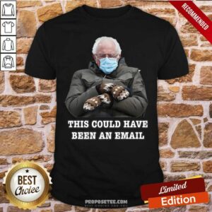 Official Bernie Mittens Funny Bernie Sanders Meme Inauguration Day Shirt