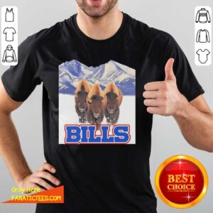 Pretty Buffalo Bills NFL Shirt