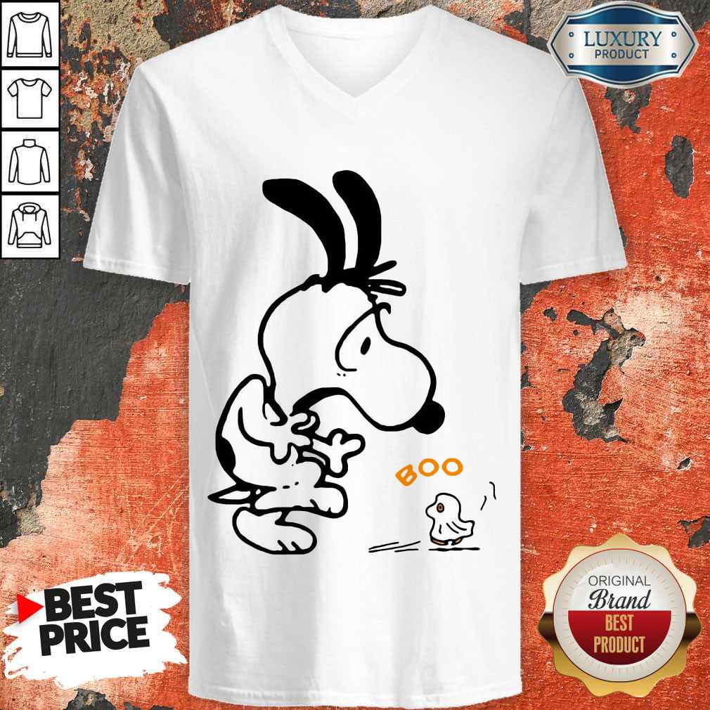 Pretty Snoopy And Woodstock Boo Halloween Shirt