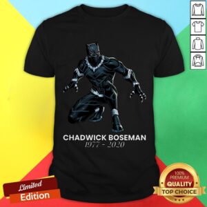 RIP Chadwick Boseman A Tribute To King T'challa The Black Panther Shirt