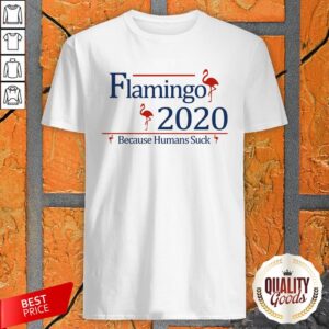 Flamingo 2020 Because Humans Suck Shirt