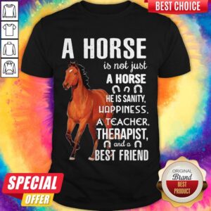 A Horse Is Not Just A Horse He Is Sanity Happiness A Teacher Therapist And A Best Friend Shirt