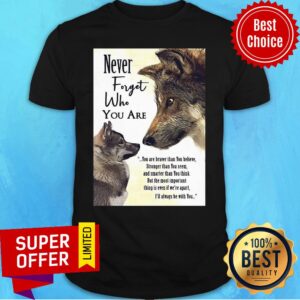 Top Never Forget Who You Are You Are Braver Than You Believe Shirt