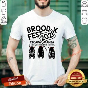 Brood X Fest 2021 Cicada Mania Shirt