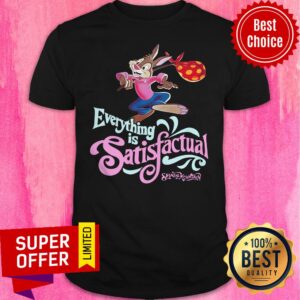 Awesome Everything Is Satisfactual Splash Mountain Shirt