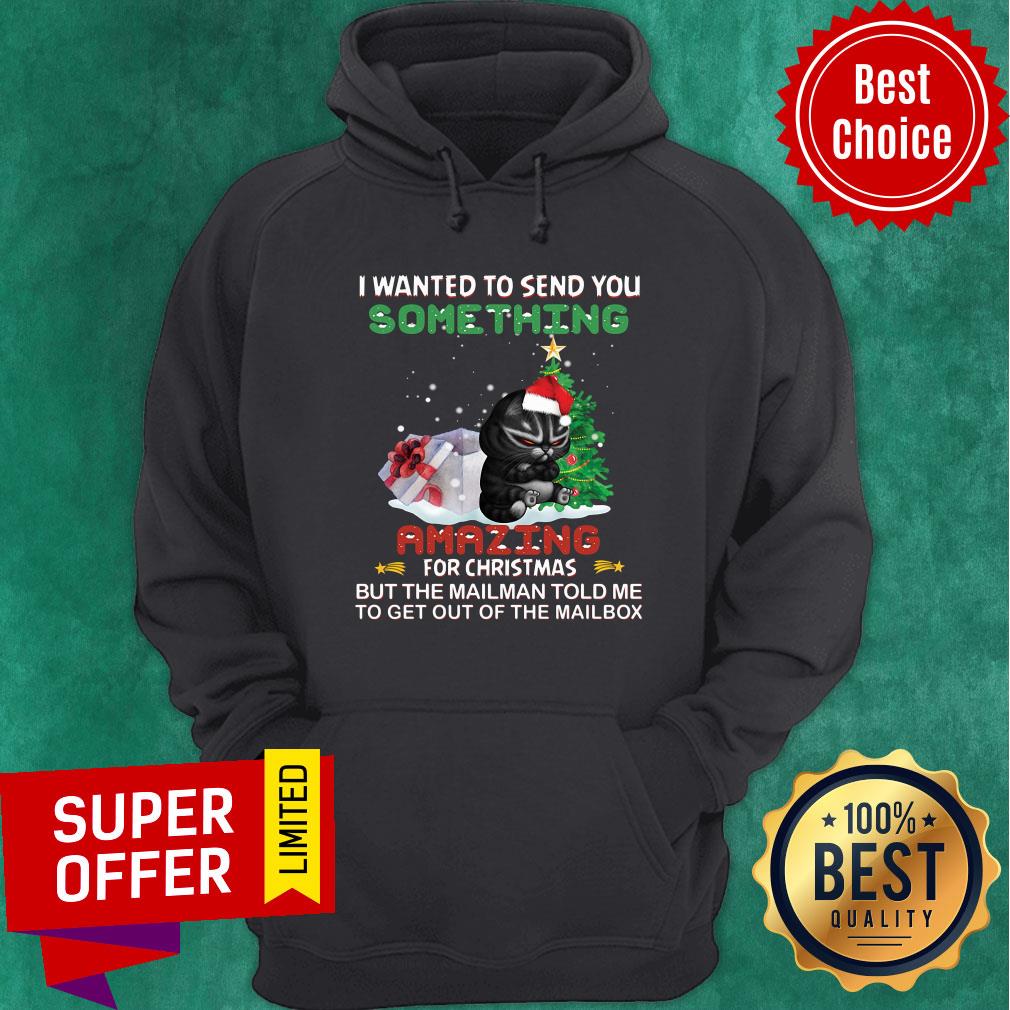 Black Cat I Wanted To Send You Something Amazing For Christmas Shirt