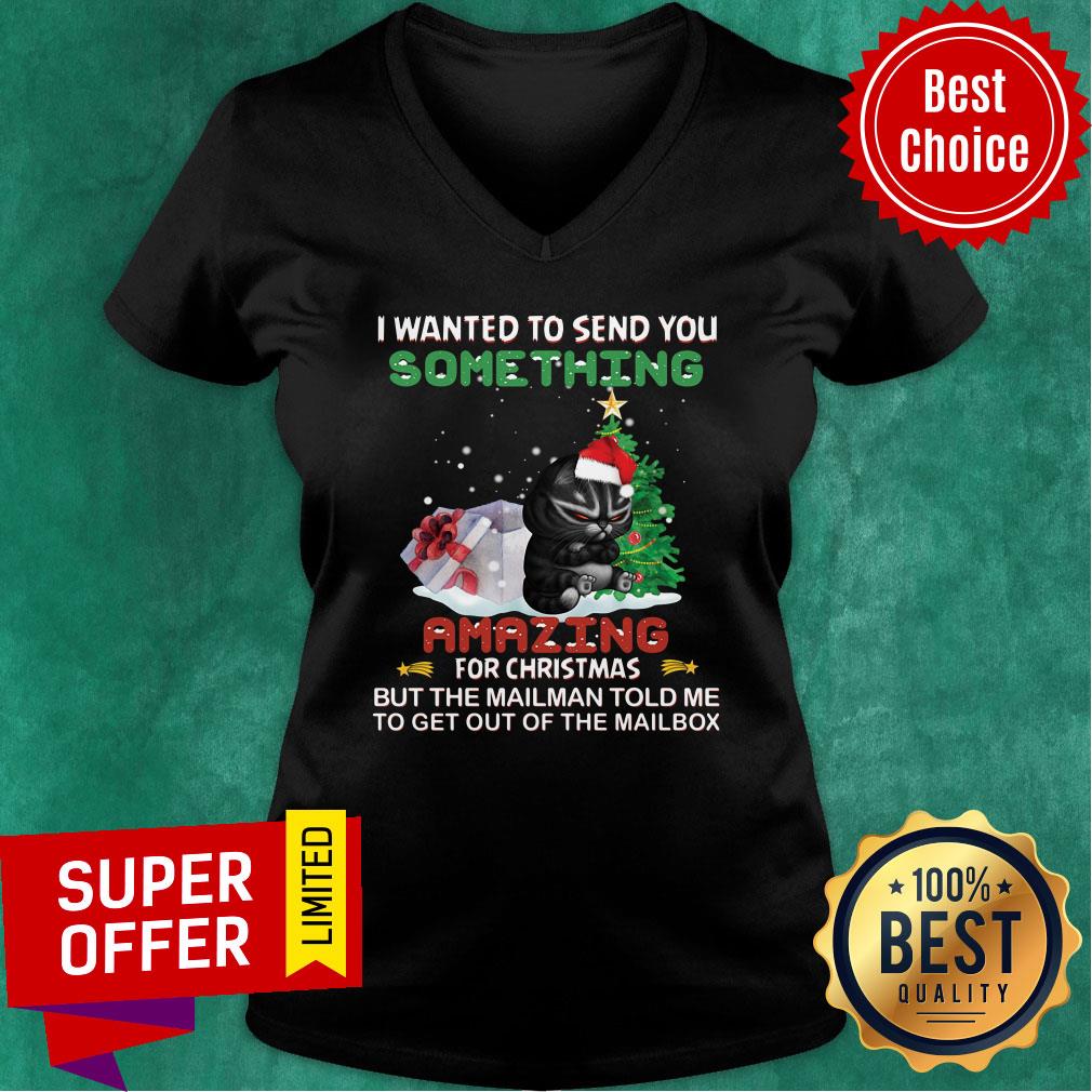 Black Cat I Wanted To Send You Something Amazing For Christmas Shirt