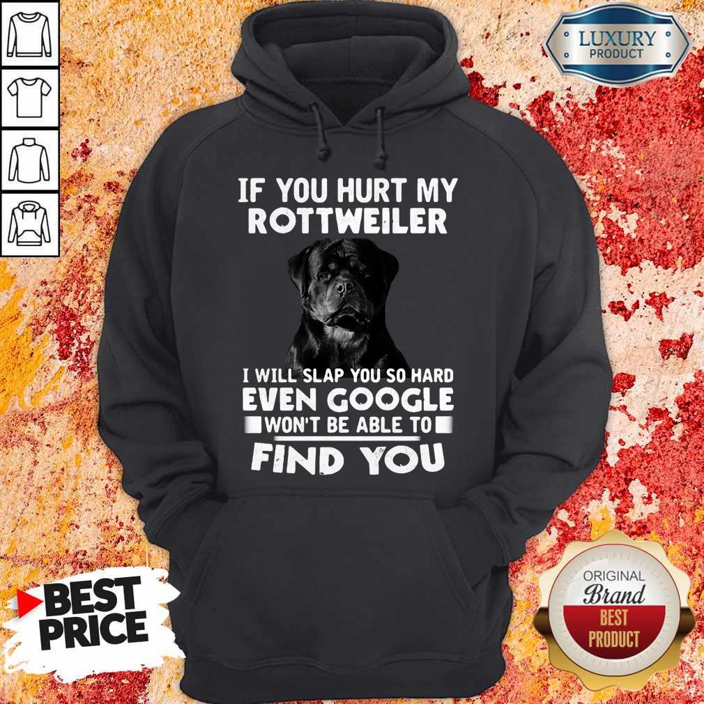 if-you-hurt-my-rottweiler-i-will-slap-you-so-hard-even-google-wont-be-able-to-find-you-hoodie.jpg