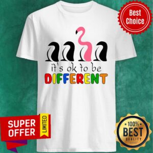Perfect Flamingo It's Ok To Be Different Shirt