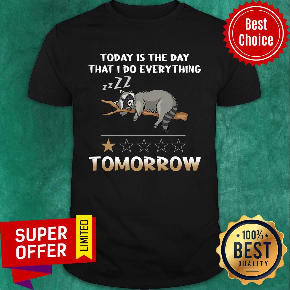 Raccoon Today Is The Day I'll Do Everything Tomorrow Shirt