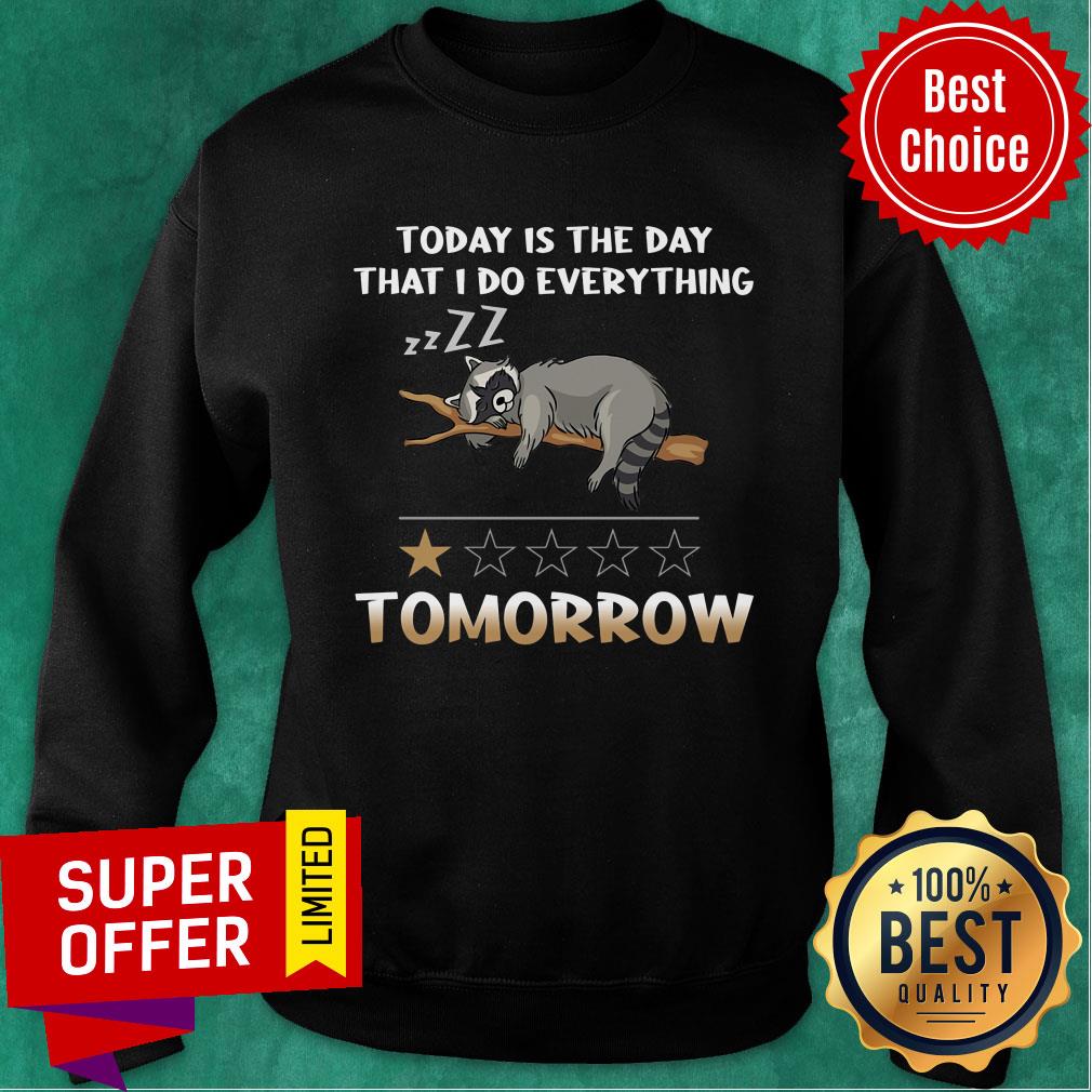 Raccoon Today Is The Day I'll Do Everything Tomorrow Shirt