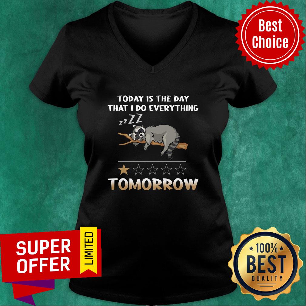 Raccoon Today Is The Day I'll Do Everything Tomorrow Shirt