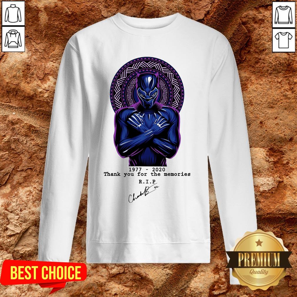 RIP Chadwick Boseman A Tribute To King T'challa The Black Panther Shirt