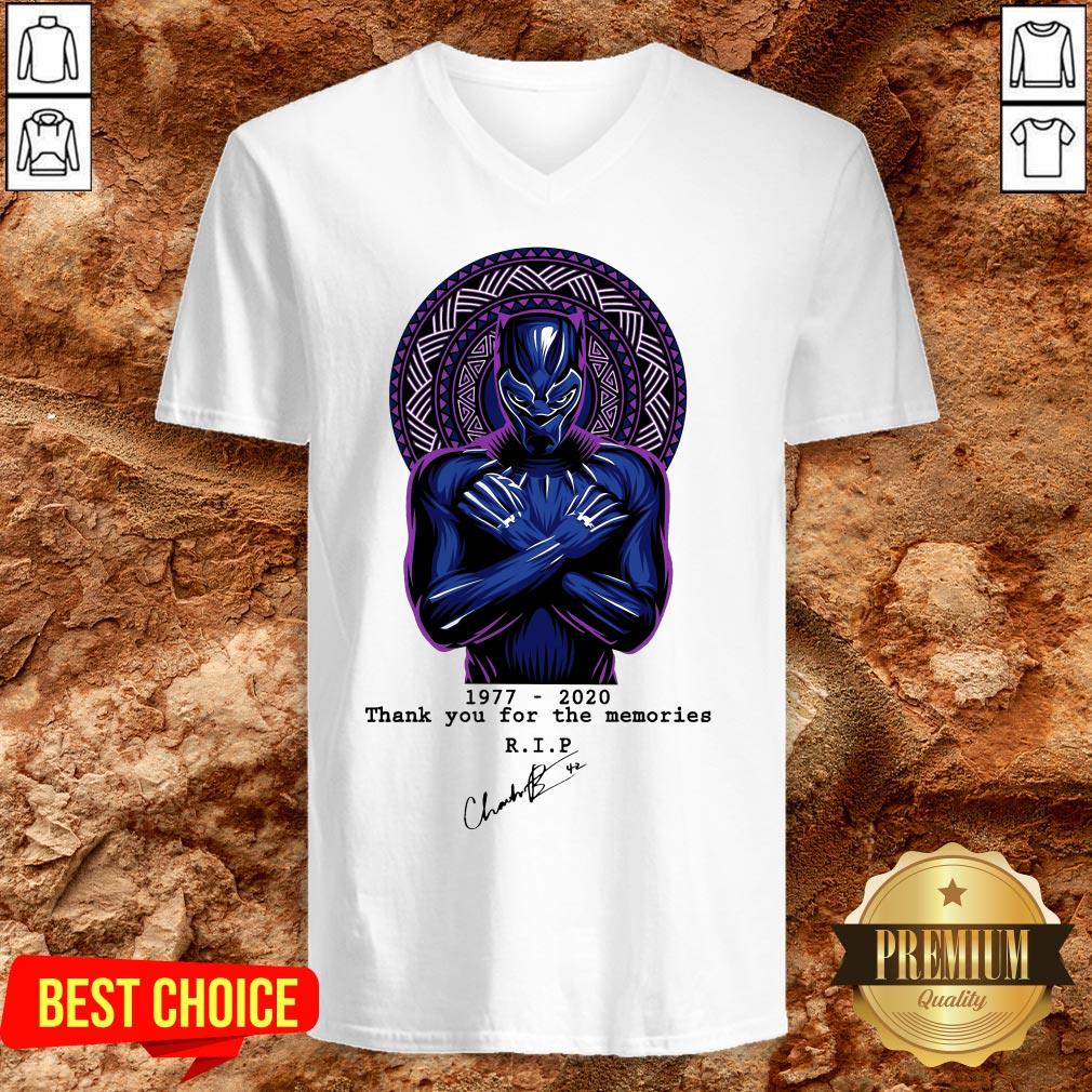 RIP Chadwick Boseman A Tribute To King T'challa The Black Panther Shirt