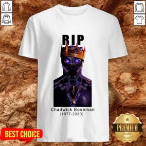 The Superhero Black Panther In The Marvel Cinematic Universe Rip Shirt