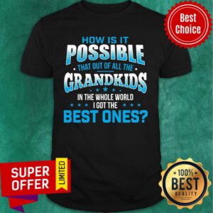 How Is It Possible Grandkids Best Ones Shirt