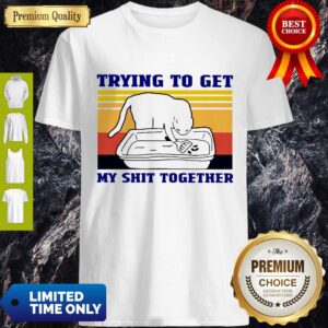 Cat Trying To Get My Shit Together Vintage Shirt