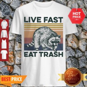 Premium Raccoon Life Fast Eat Trash Vintage Shirt