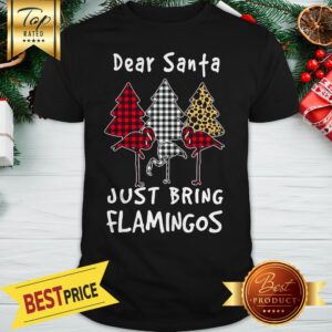 Flamingo Dear Santa Just Bring Flamingos Shirt