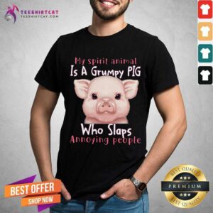 Lovely My Spirit Animal Is A Grumpy Pig Who Slaps Annoying People Shirt