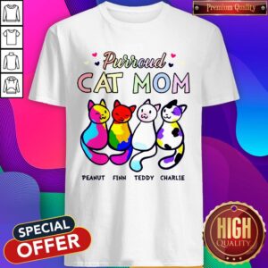 Purroud Cat Mom Peanut Finn Teddy Charlie Shirt