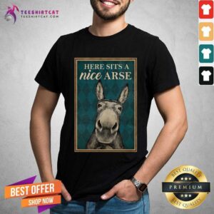 Funny Here Sits A Nice Arse Shirt