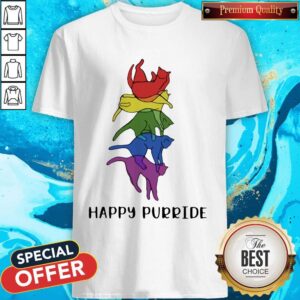 Super Nice LGBT Cat Stacking Happy Purride Shirt