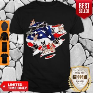 Awesome Dog Lovers Heeler American Flag Shirt