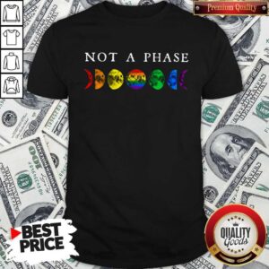 Premium LGBT Not A Phase Shirt