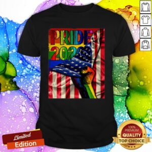 Pro Pride 2020 American Flag Print On Back Only Plain Front TShirt LGBT Pride Shirt