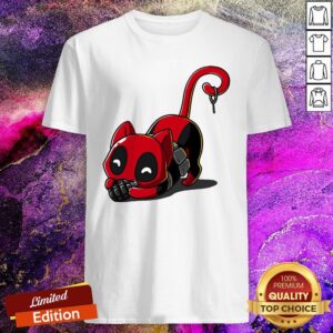 Great Everything You Can Imagine Is Real Catpool Shirt