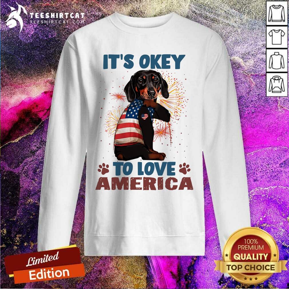 Dachshund It Is Okey To Love America Shirt