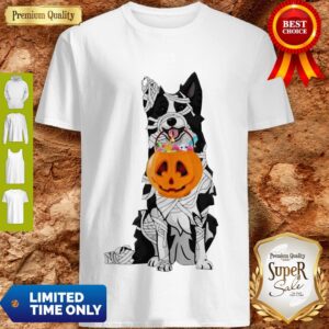 Border Collie Halloween Shirt