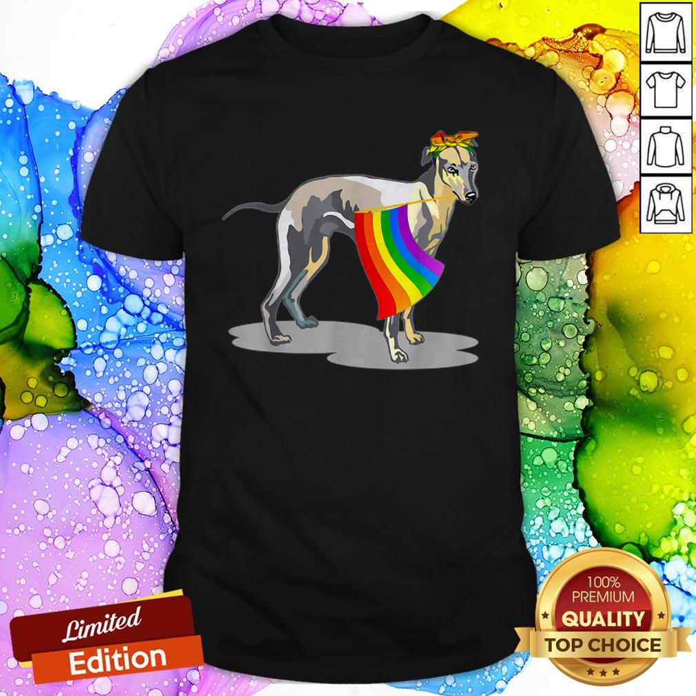 Happy Pride LGBT Flag Gay Be Lesbian Whippet Lover Gifts Shirt