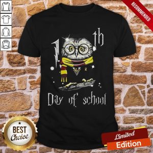 Owl Teacher 100th Day Of School Harry Potter Shirt