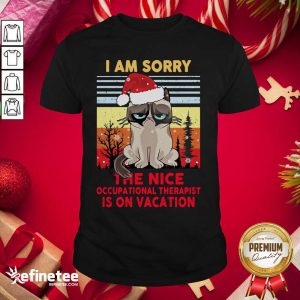 Fantastic I Am Sorry The Nice Occupational Therapist Is On Vacation Shirt