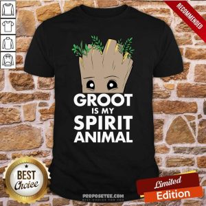 Nice Baby Groot Is My Spirit Animal Shirt
