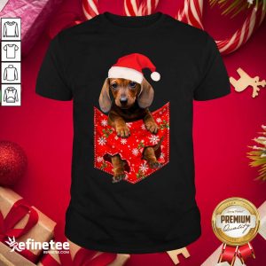 Cute Daschund Santa Christmas 2020 Shirt