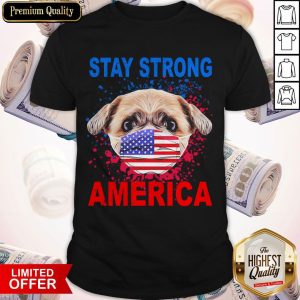 Nice Shih Tzu Face Mark Stay Strong America Flag Shirt