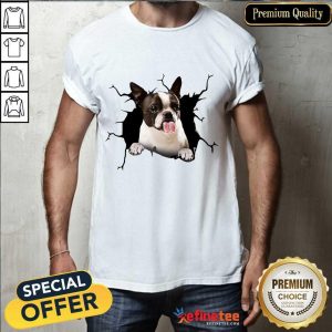 I Love Boston Terrier Shirt