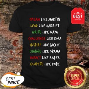 Dream Like Martin Lead Like Harriet Write Like Maya Challenge Like Rosa Shirt