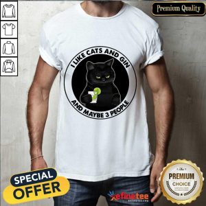 Hot I Like Cat And Gin And Maybe 3 People Shirt