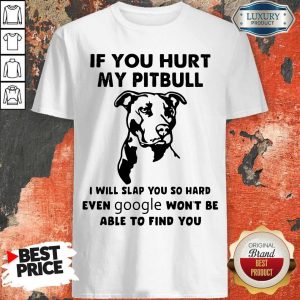 If You Hurt My Pitbull I Will Slap You So Hard Even Google Won’t Be Able To Find You Shirt