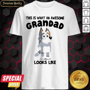 Bandit Heeler This Is What An Awesome Grandad Looks Like Shirt