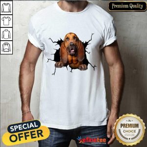 I Love Bloodhound Shirt