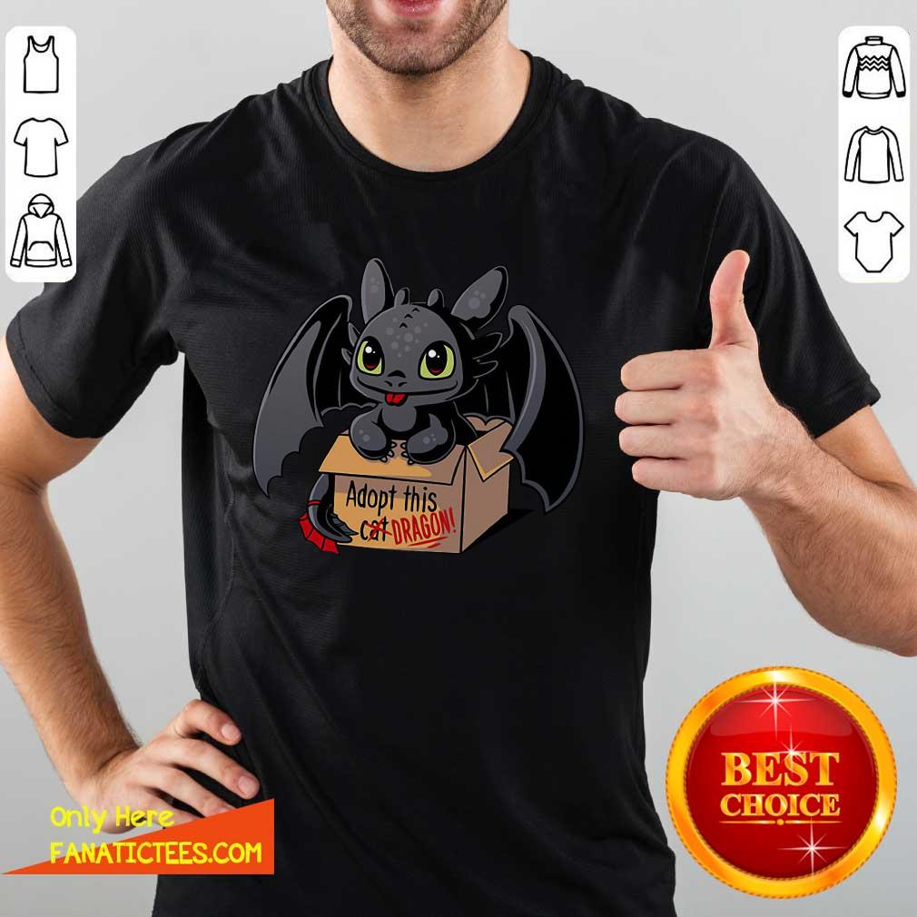 Awesome Adopt This Dragon Shirt